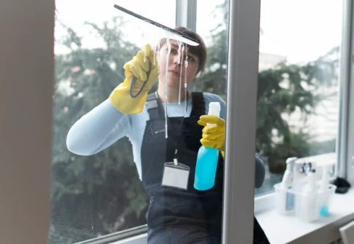 Nettoyage de vitres intérieures et extérieures à Éveux